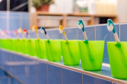 A row of many small green toothbrush cups with many small toothbrushes inside